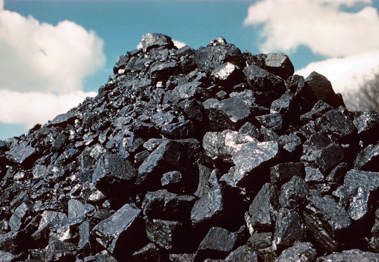 कोयला तस्करी मामले में दूसरा पूरक आरोप-पत्र पेश