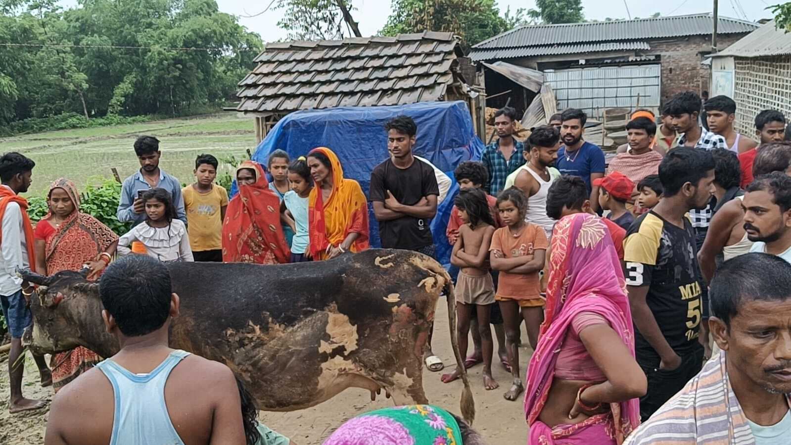ठनका गिरने से घर जला, नकद व मवेशी समेत लाखों की क्षति