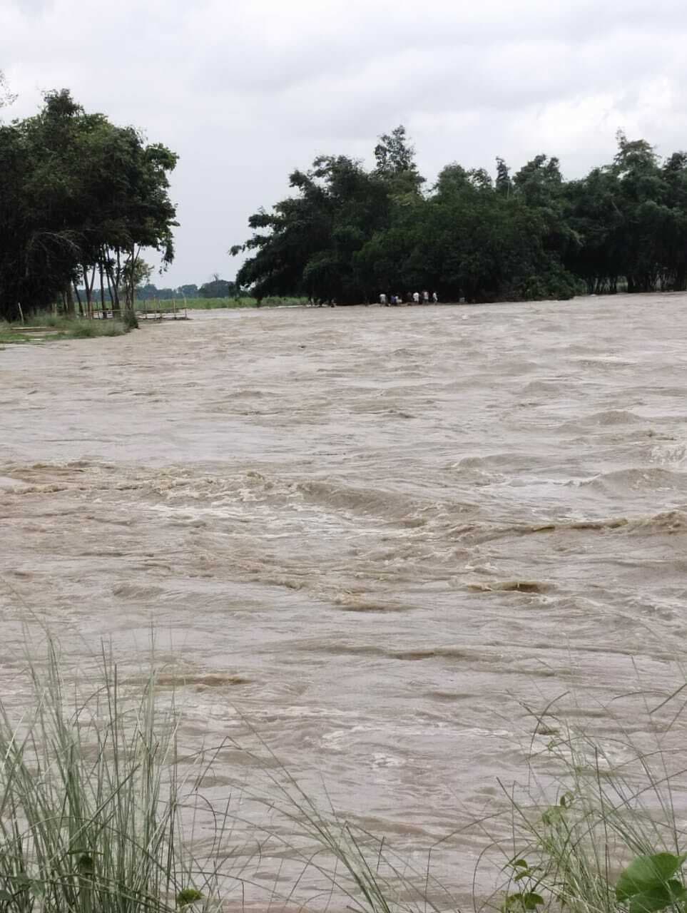 धांधली में नगर निगम के टैक्स कलेक्शन एजेंसी का अनुबंध रद्द, ईंधन की अत्यधिक खपत पर हंगामा
