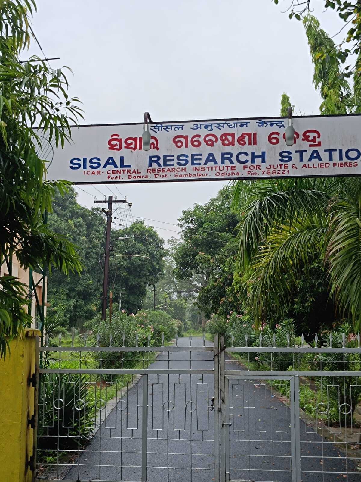 बामड़ा : देश के इकलौते सिसल रिसर्च स्टेशन में न वैज्ञानिक हैं, न ही जरूरी उपकरण