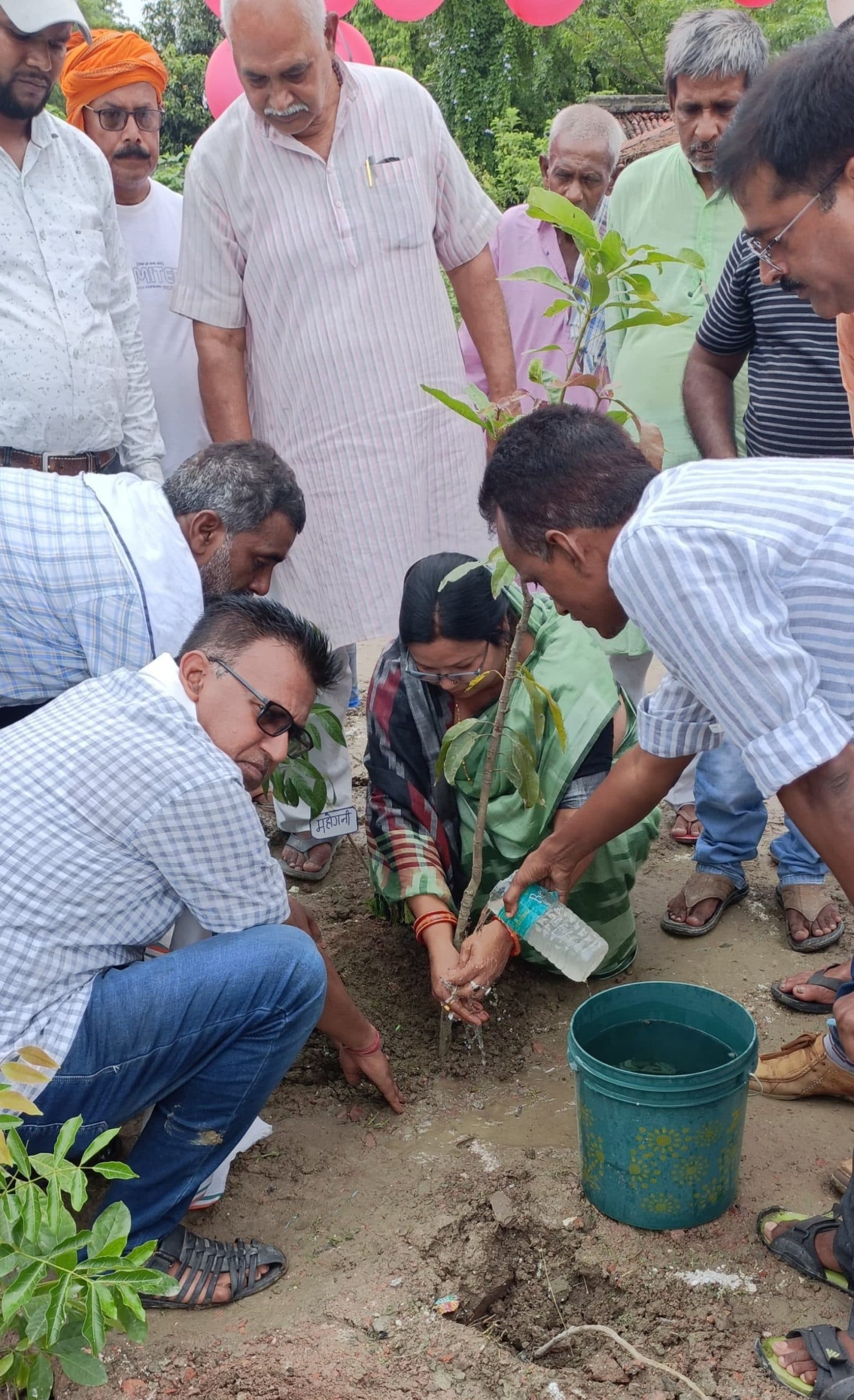 पौधारोपण कर बढ़ायी जा सकती है हरियाली : अजीत