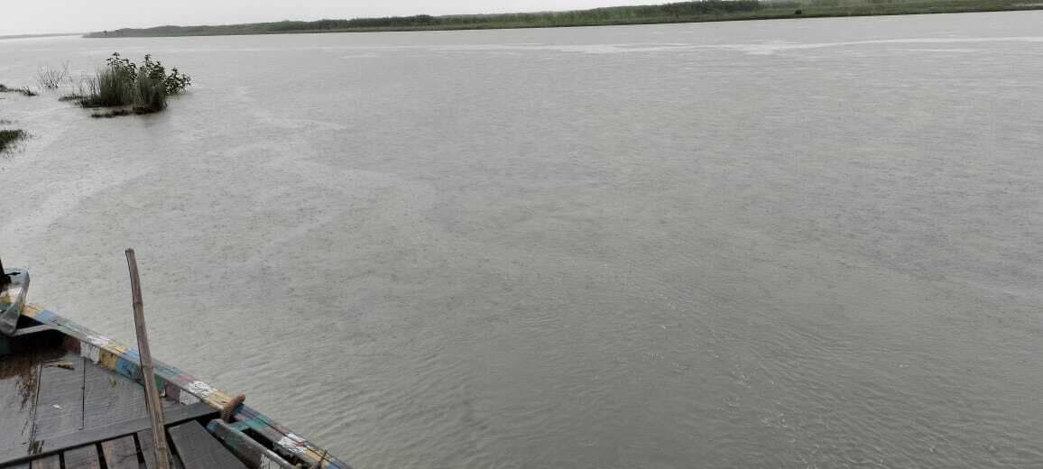 कोसी नदी के जल स्तर में हो रही वृद्धि