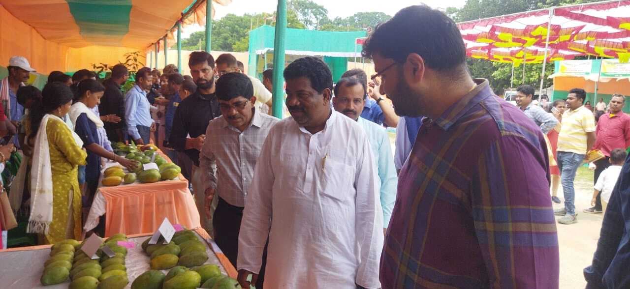 खूंटी में आम प्रोसेसिंग प्लांट लगना जरूरी