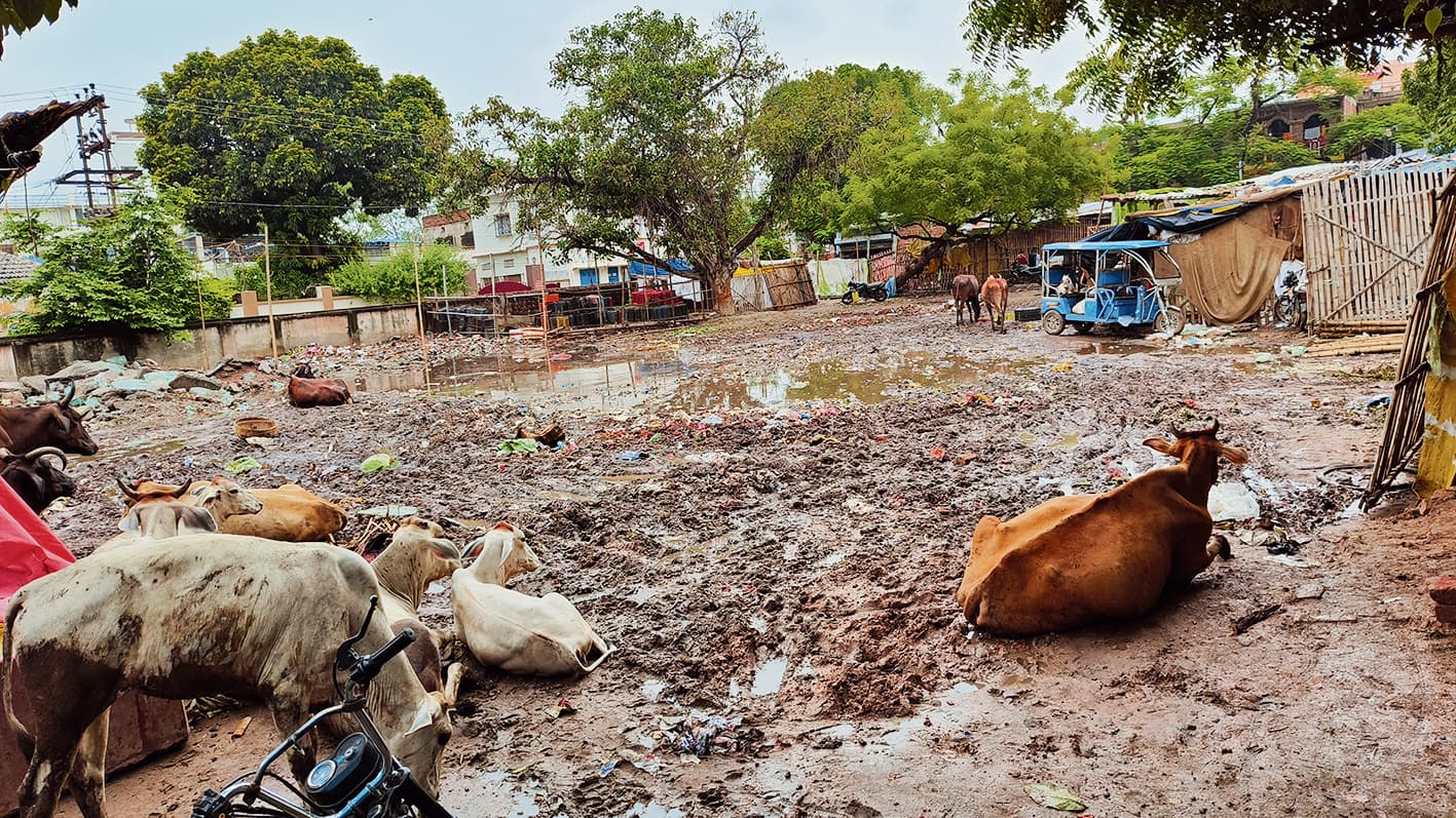 महात्मा गांधी बड़ा बाजार नगर परिषद को लाखों राजस्व देने के बाद भी है उपेक्षित