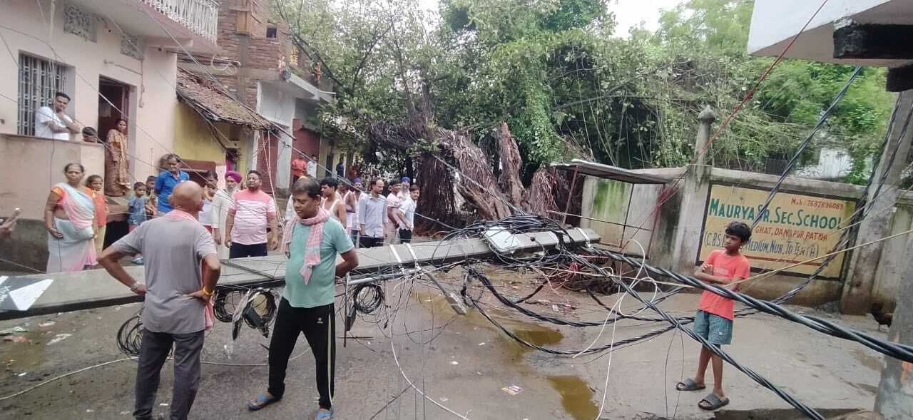 बारिश में बरगद का पेड़ गिरा  चार पोल टूटे, 24 घंटे बाधित रही बिजली