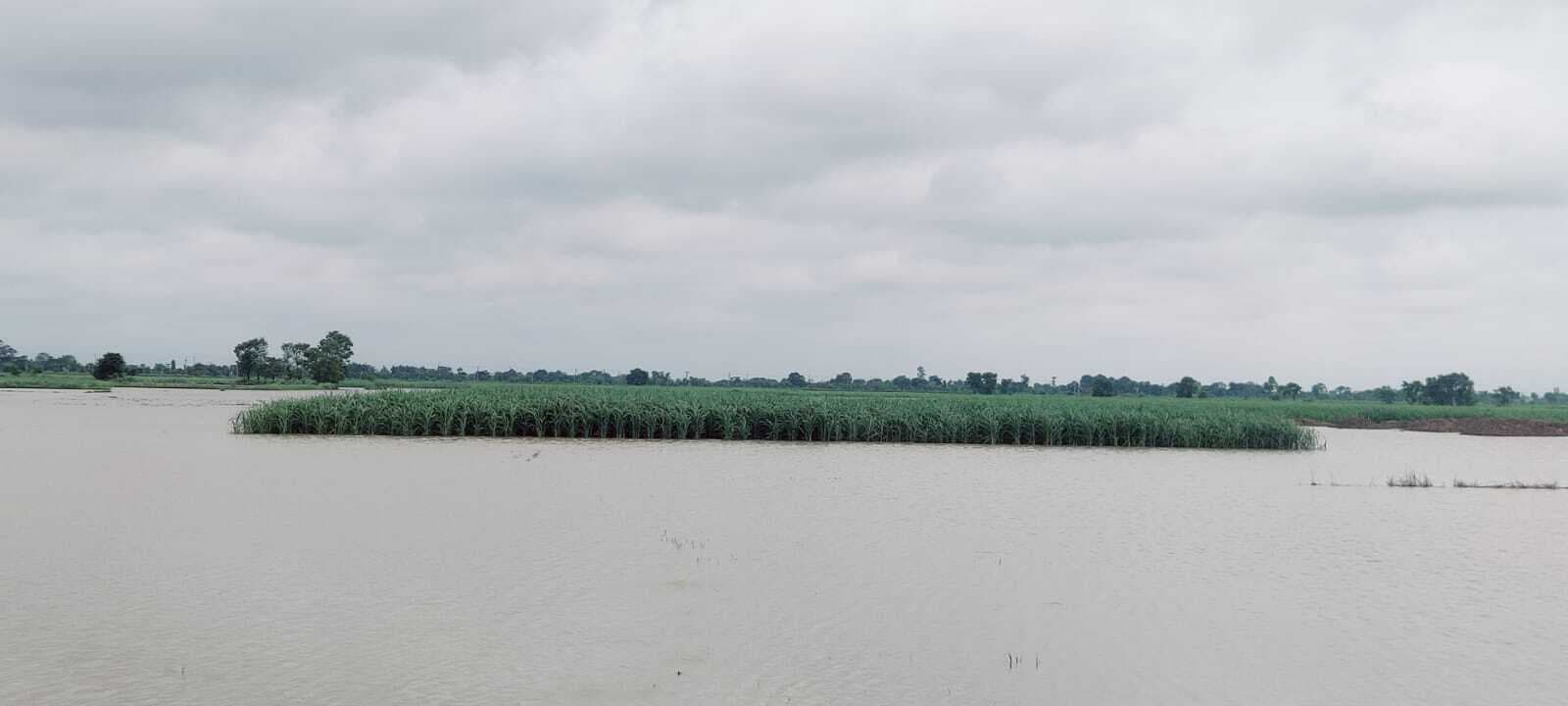 त्रिवेणी कैनाल का उत्तरी बांध कई जगह ध्वस्त, सिकटा नदी का पश्चिमी तटबंध भी टूटा