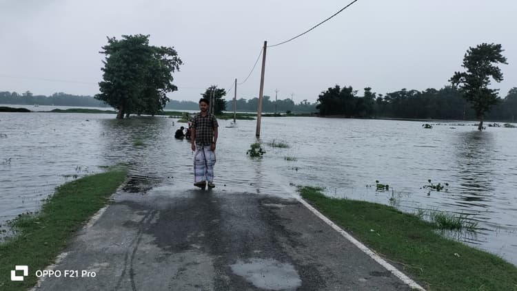 बाढ़ प्रभावित क्षेत्रों में राहत सुविधा नदारद, चारा के लिए पशुपालक परेशान