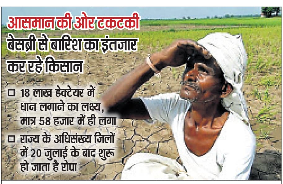 weather news : मॉनसून की बेरुखी से जमीन सूखी, लक्ष्य का तीन प्रतिशत ही लगा धान
