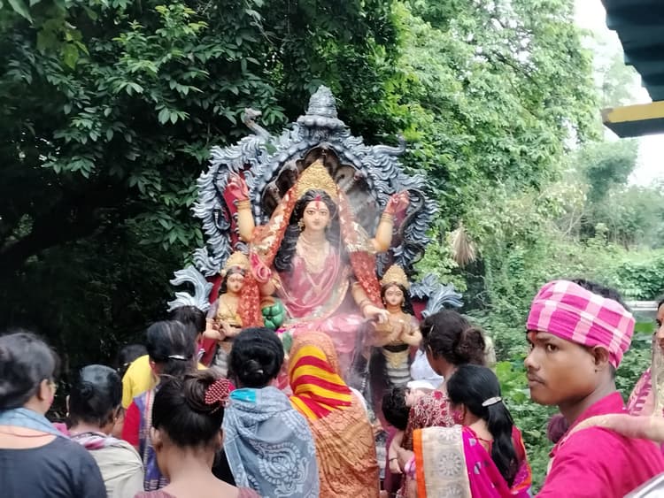 मां मनसा की प्रतिमा का किया गया विसर्जन