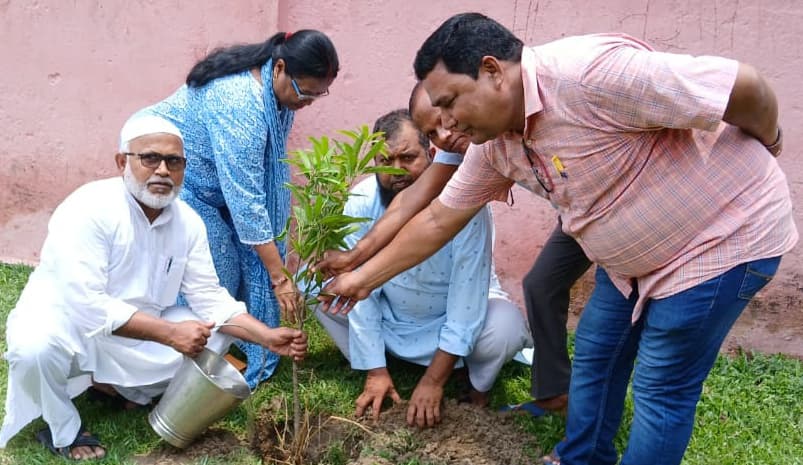 प्रावि कुच्ची में बीइओ ने किया पौधरोपण