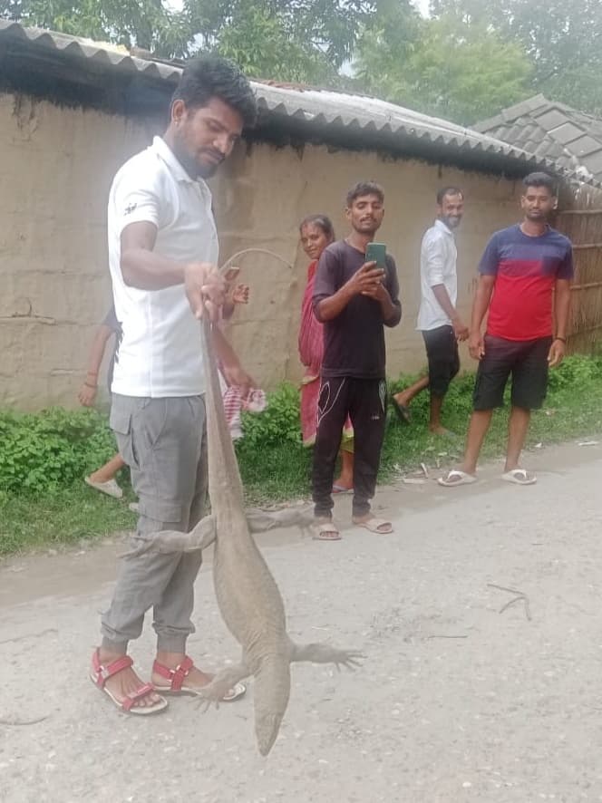 घर के अंदर गोहटी को देख परिजनों में मची भगदड़, वन कर्मियों ने किया रेस्क्यू