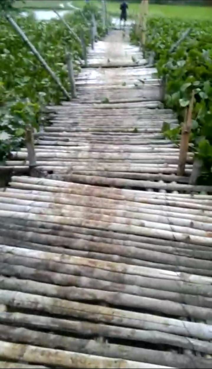 सोनी नदी के जलस्तर में वृद्धि से मैनाडीह चचरी पुल पर चढ़ा पानी