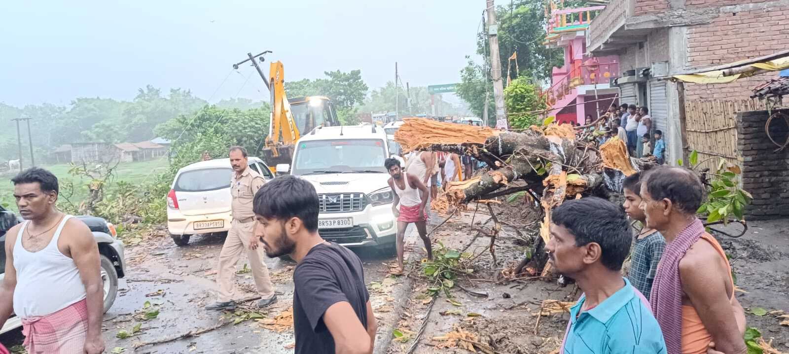 एनएच 80 पर गिरा विशालकाय वट वृक्ष, आवागमन बाधित