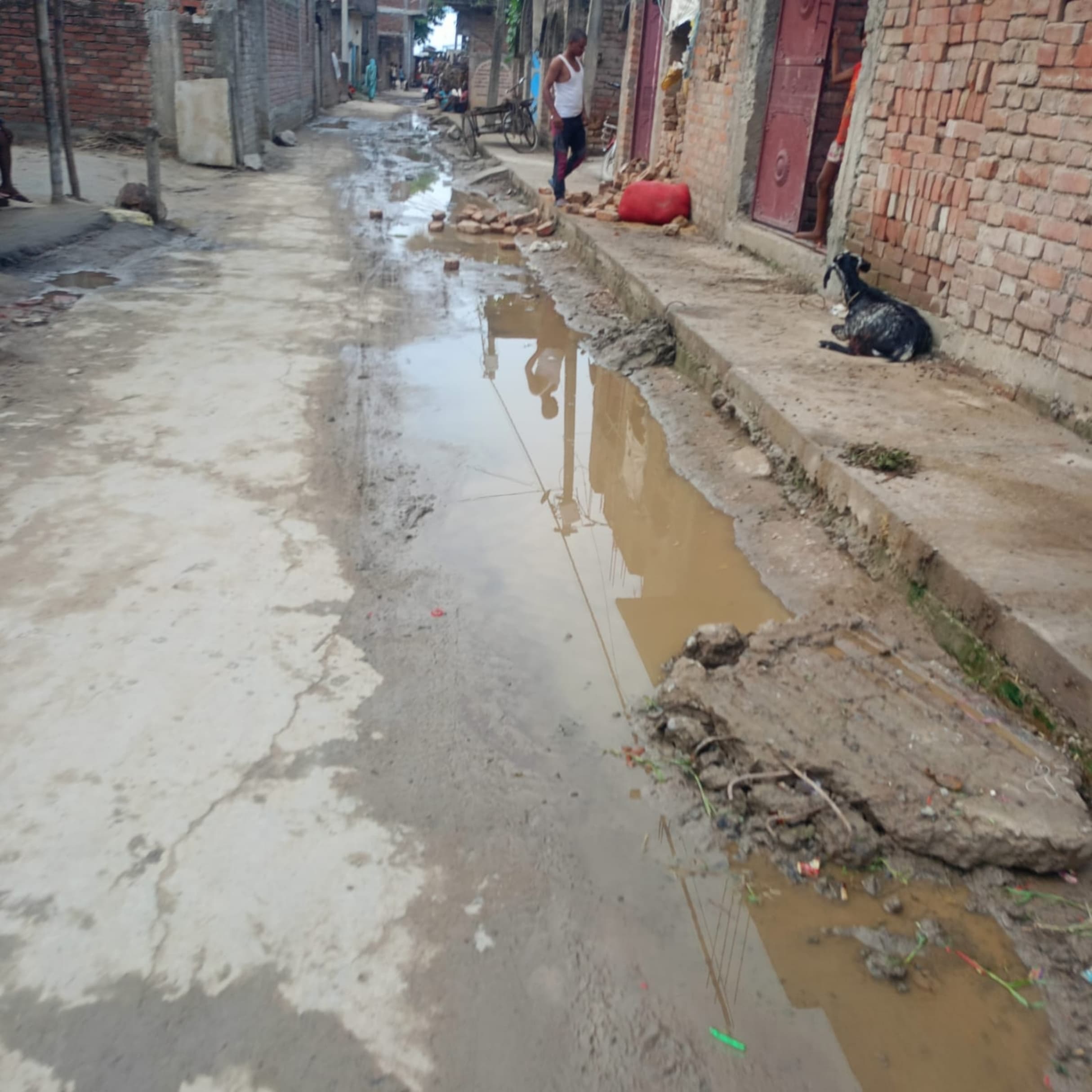 नाला बनने के बाद भी सड़क पर जलजमाव