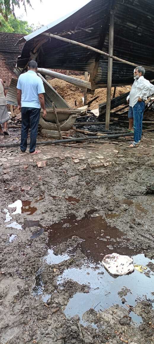 गौशाला में आग लगने से एक गाय की जलकर मौत, एक गंभीर