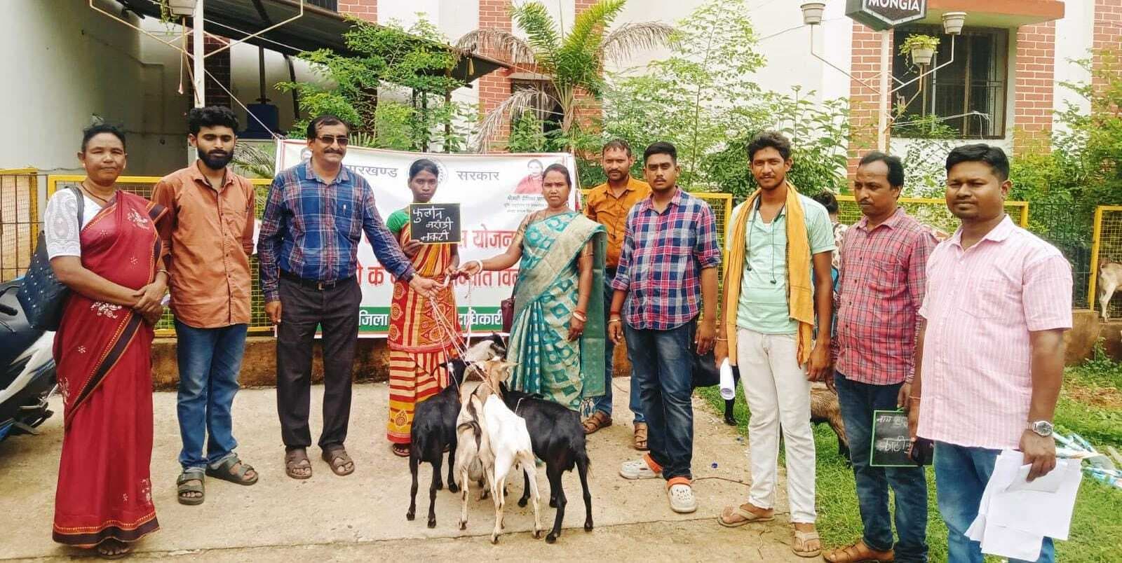 मुख्यमंत्री पशुधन योजना के तहत 11 यूनिट पशुधन वितरित