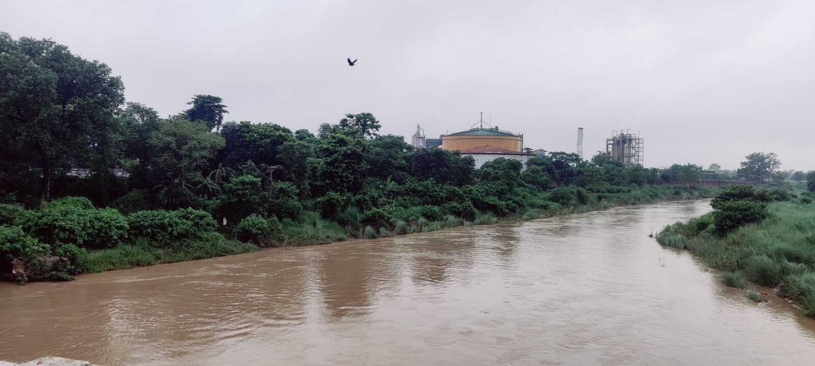 रूक-रूक कर हो रही बारिश से फिर उफनाई पहाड़ी नदियां, कई जगहों पर कटाव तेज