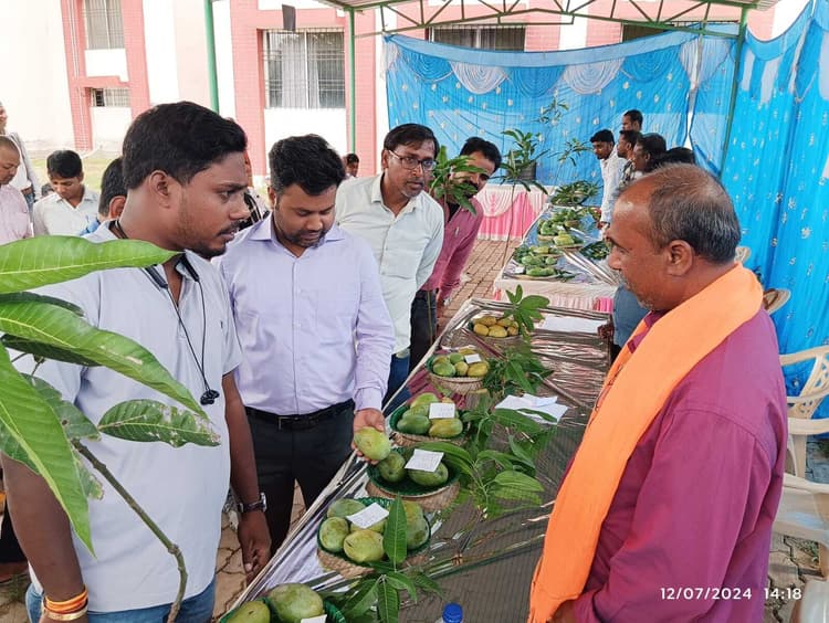 बुढ़मू में आम की लगी प्रदर्शनी, 25 किसानों को प्रमाण पत्र