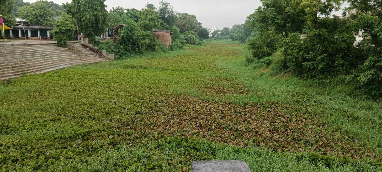 एक ओर बाढ़ से जनजीवन त्रस्त, तो दूसरी ओर आषाढ़ में भी सूखी पड़ी है कमला