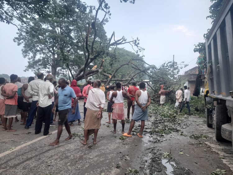 एनएच पर पेड़ गिरने से तीन घंटे तक यातायात बाधित