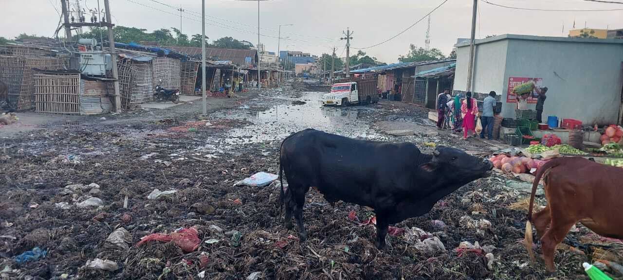 बरसात में कृषि उत्पादन बाजार समिति की स्थित बदतर