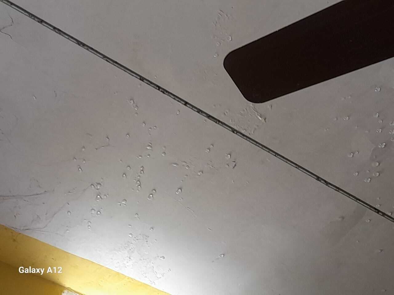 एक साल में ही टपकने लगा एचडब्लूसी के छत से बारिश का पानी