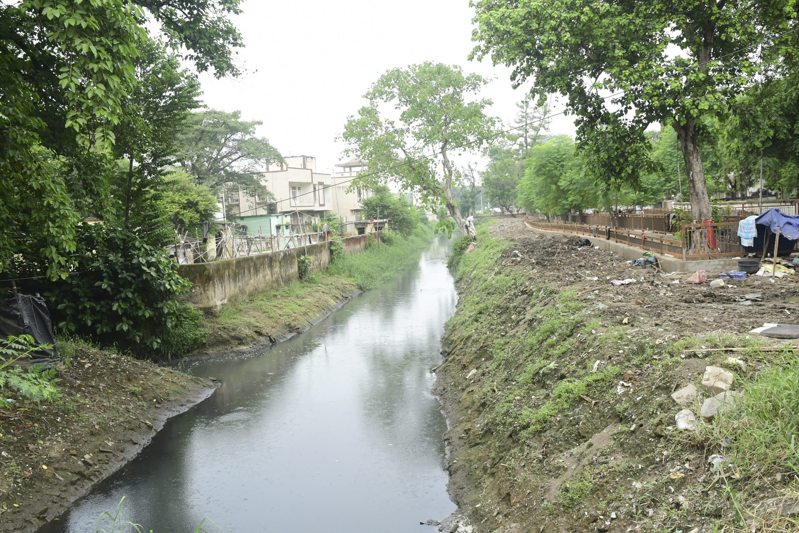 सर्पेंटाइन नाले की दोनों ओर बनेगी हरितपट्टी, लगेंगे पौधे