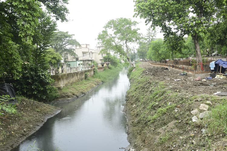 सर्पेंटाइन नाले की दोनों ओर बनेगी हरितपट्टी, लगेंगे पौधे