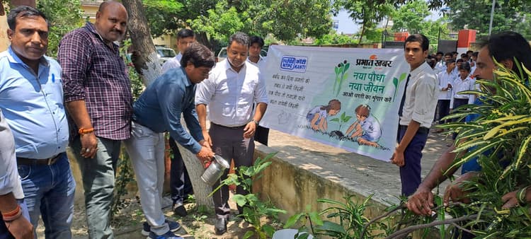 पर्यावरण संरक्षण के लिए पौधारोपण जरूरी : डीडीसी