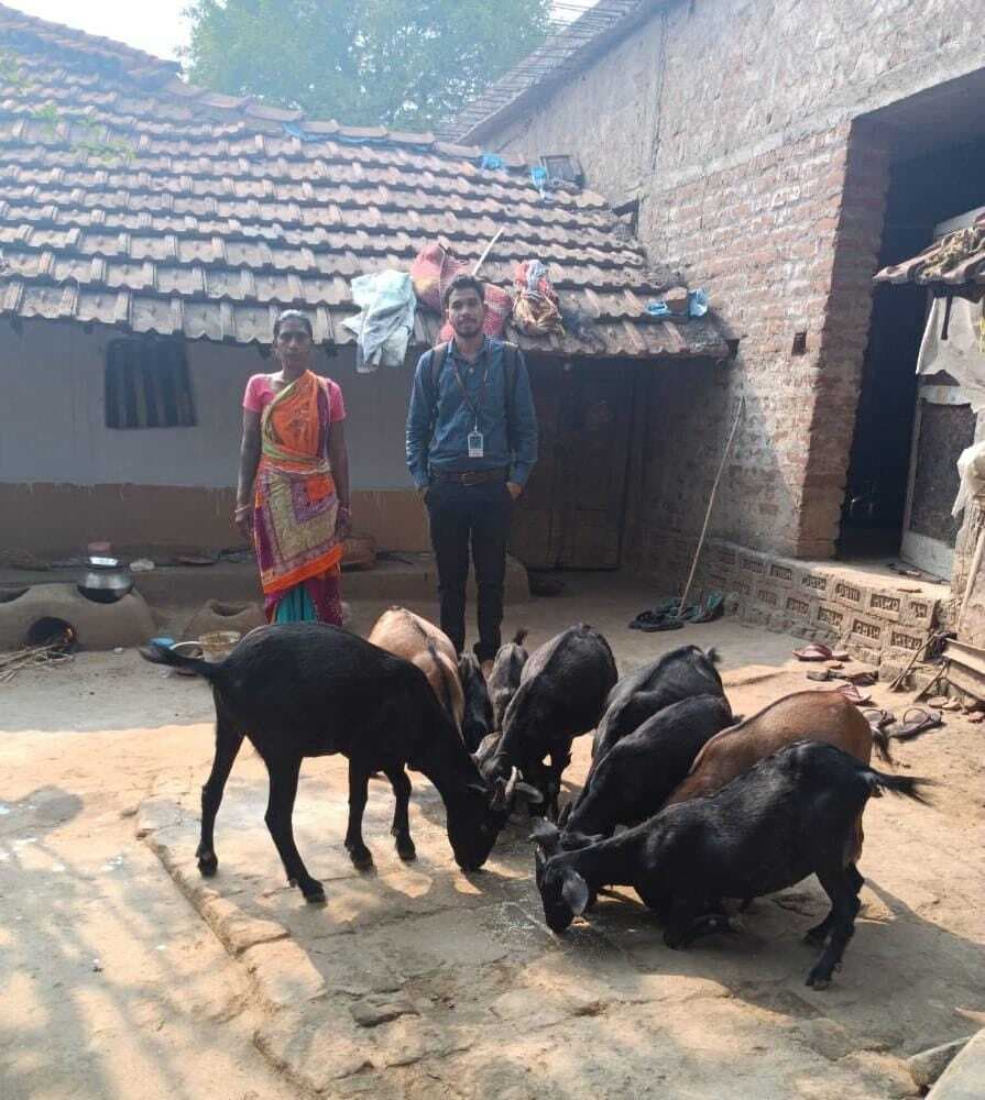 टॉप बॉक्स … अमड़ापाड़ा की सुहागनी कभी बेचती थी शराब, अब बकरीपालन कर बनी आत्मनिर्भर, बेटी का कराया विवाह