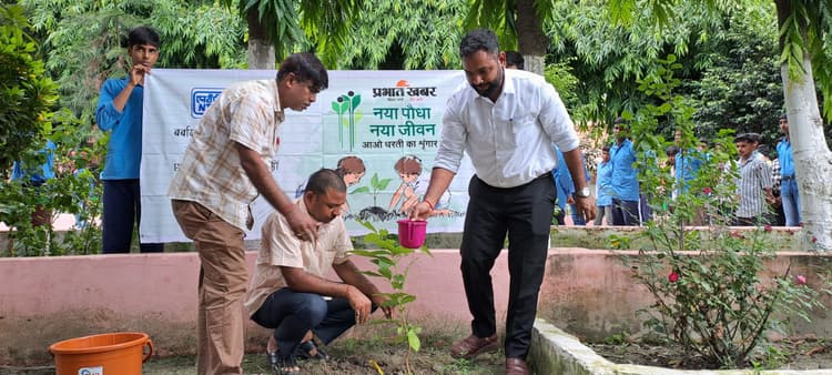 हर व्यक्ति कम से कम एक पौधा लगायें : आयुक्त