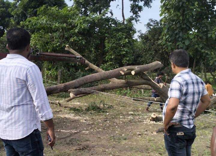 33 हजार वोल्ट तार पर गिरा पेड़, बिजली ठप