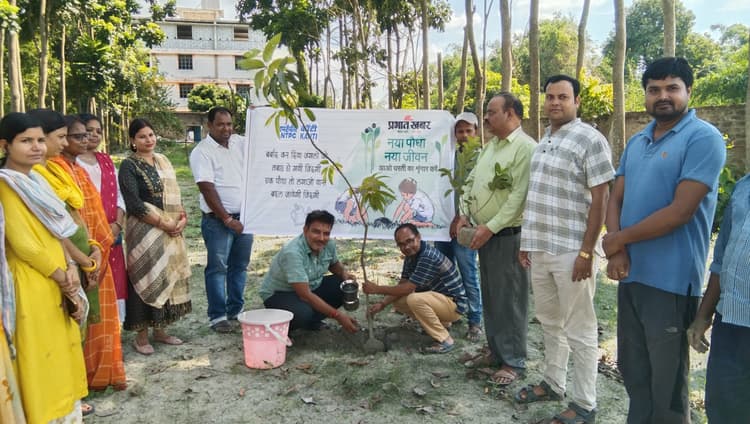 प्रभात खबर अभियान : कॉलेजकर्मियों ने पौधारोपण कर लिया वृक्ष बचाने का संकल्प