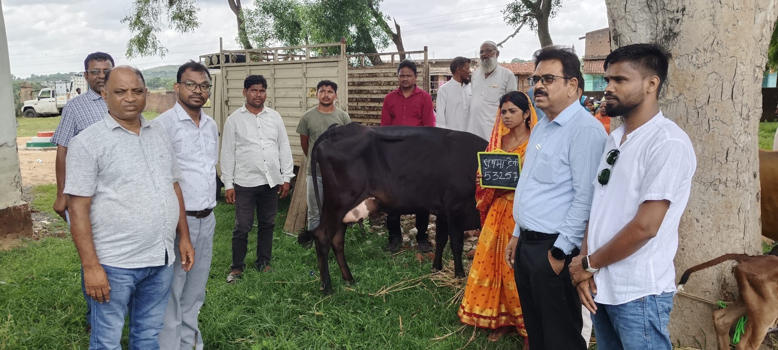 सीएम पशुधन योजना के तहत लाभुकों के बीच दुधारू गाय का किया गया वितरण