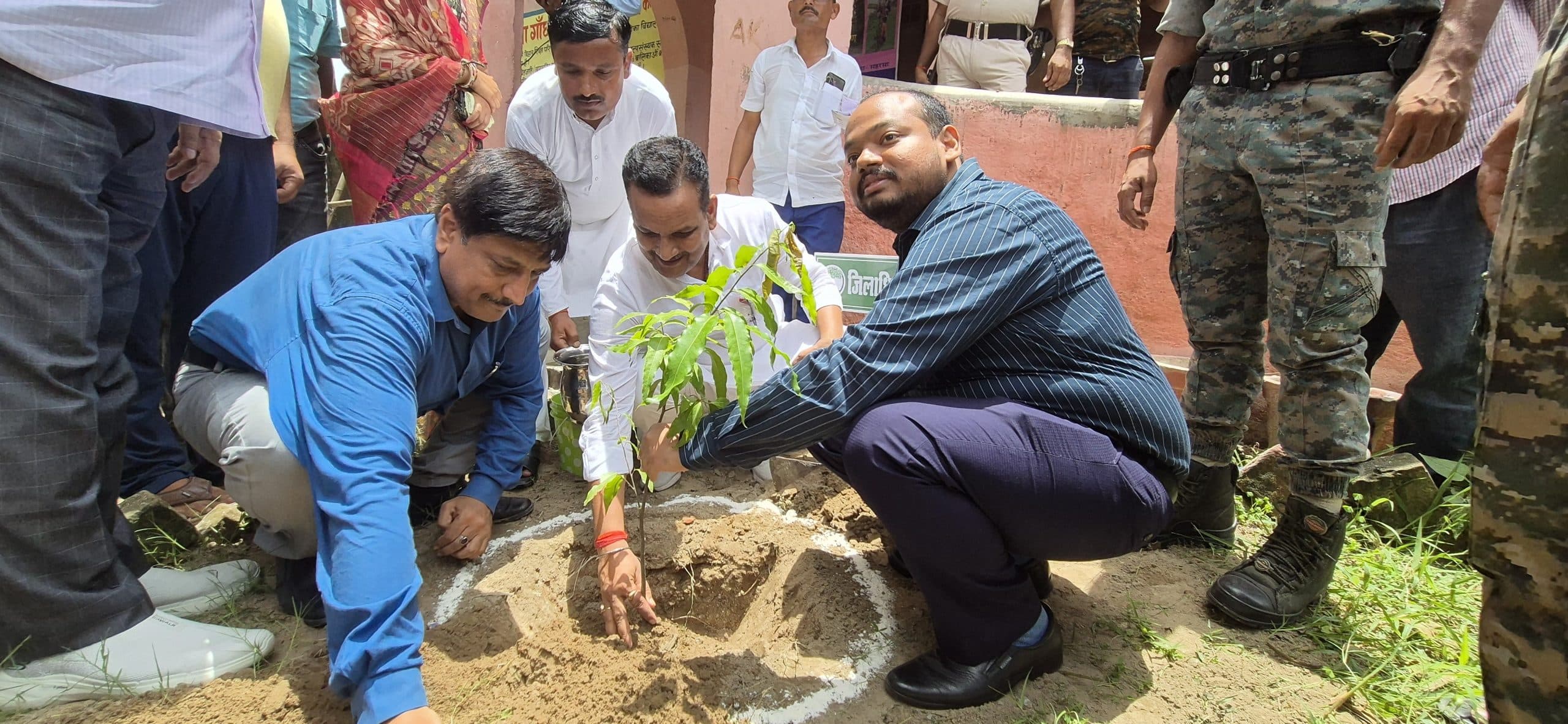 15 अगस्त तक जिले में कुल 3 लाख 10 हजार पौधे लगाने का लक्ष्य