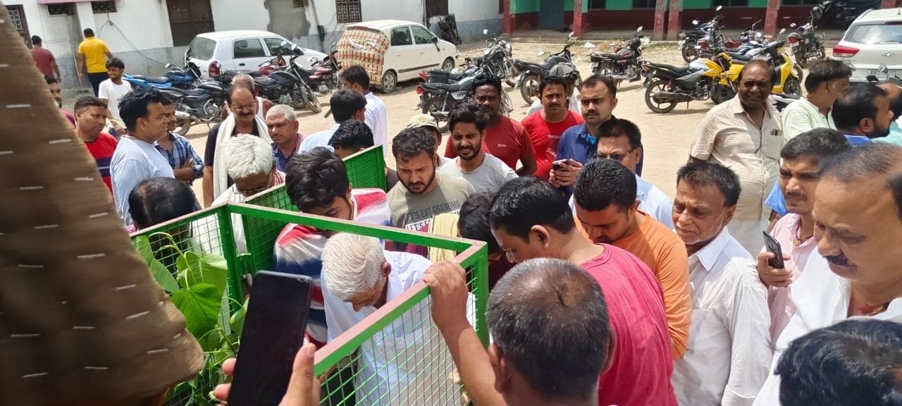 पूर्वजों की याद में किया पौधरोपण