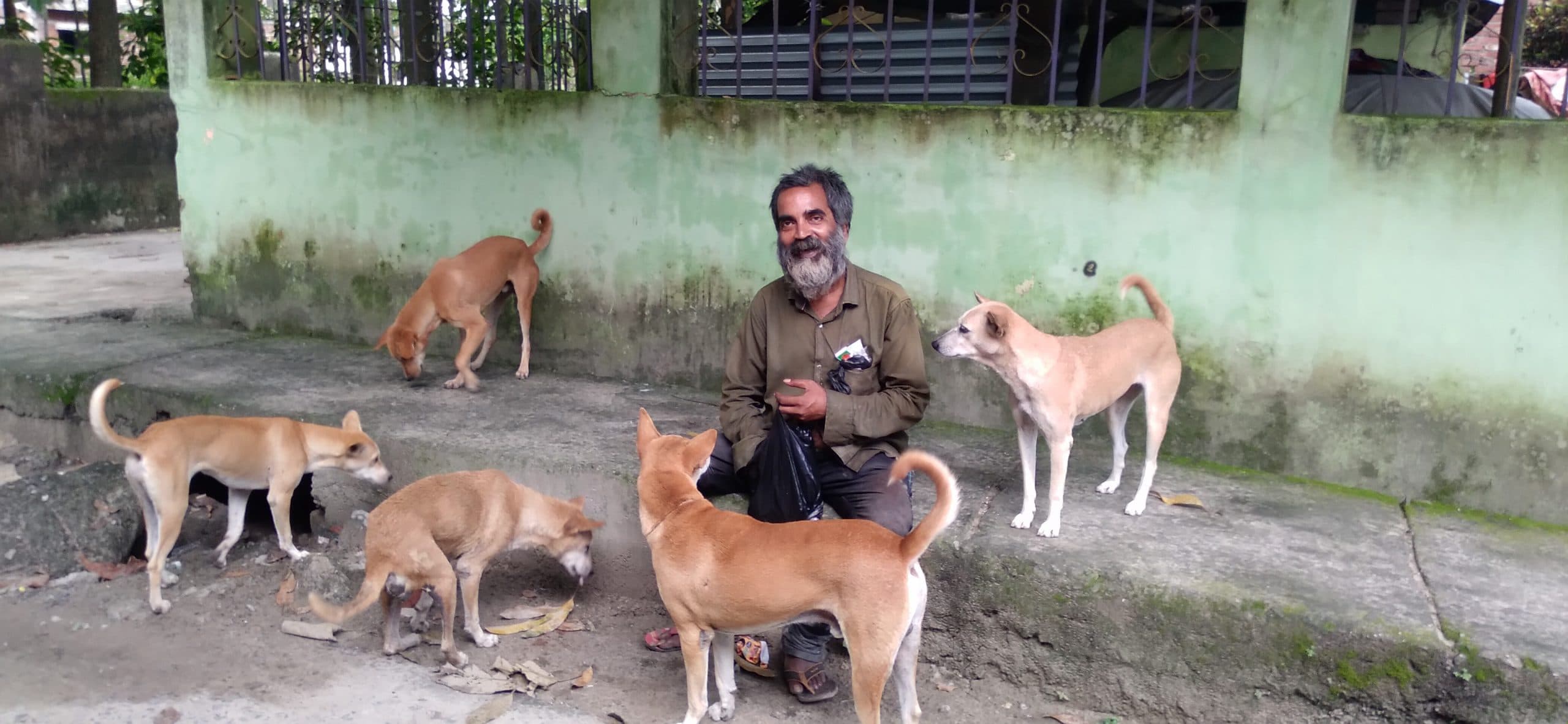 नफरत के इस दौर में जानवर से प्यार, हर दिन खिलाते हैं कुत्तों को आहार
