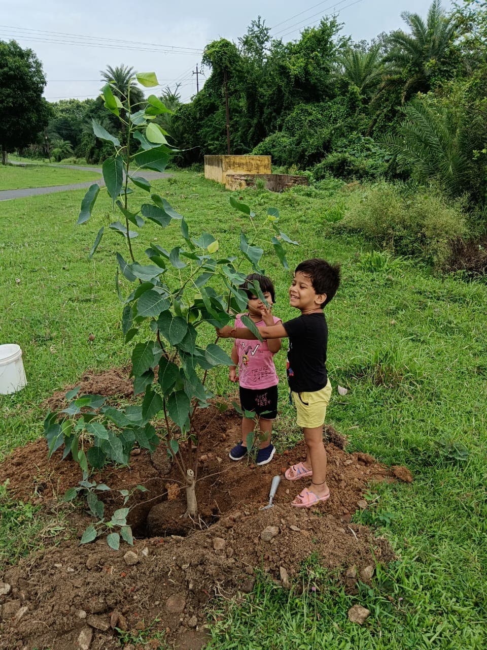 मासूम बेटियों ने जन्मदिन पर किया पौधरोपण