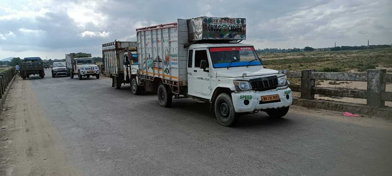 34 मवेशी बरामद, आठ तस्कर गिरफ्तार