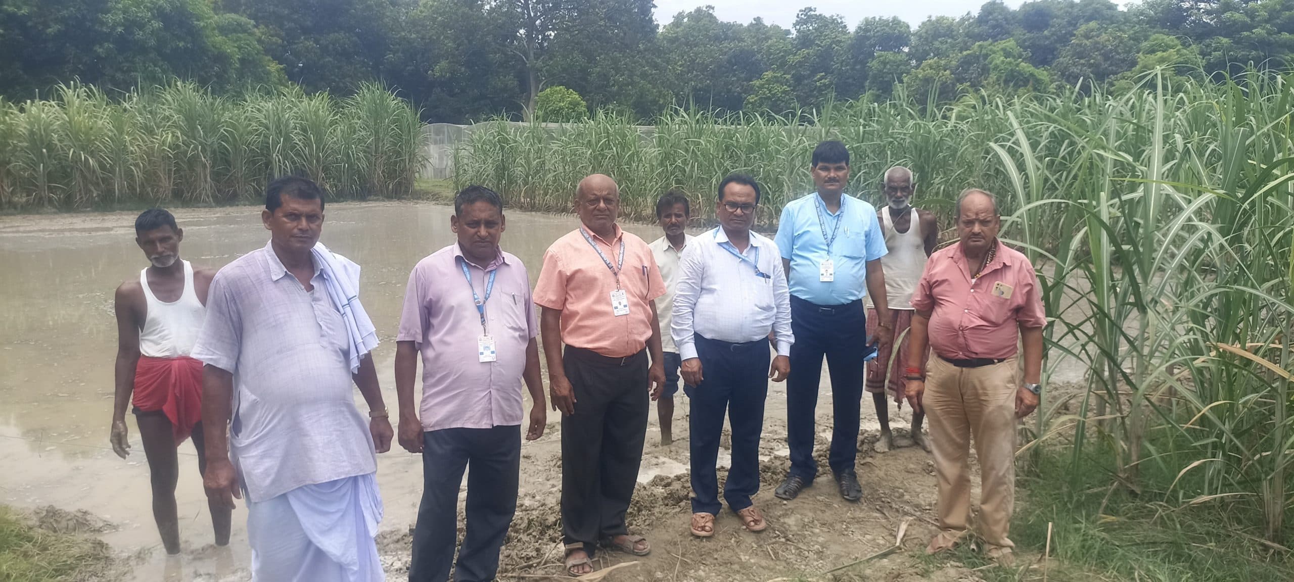 ईंख अनुसंधान संस्थान ने किये छह चयनित क्लोन विकसित