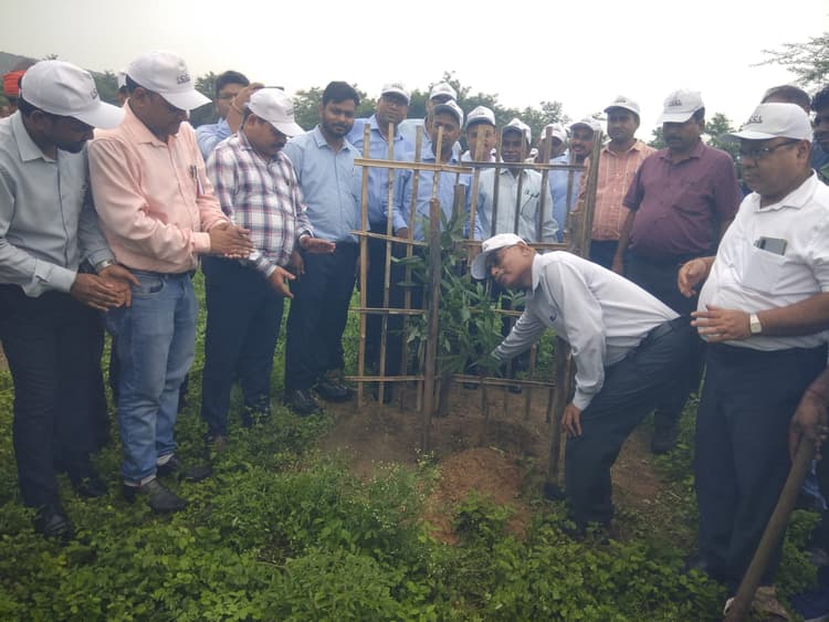 वृक्ष लगाकर प्रकृति की करें रक्षा : जीएम