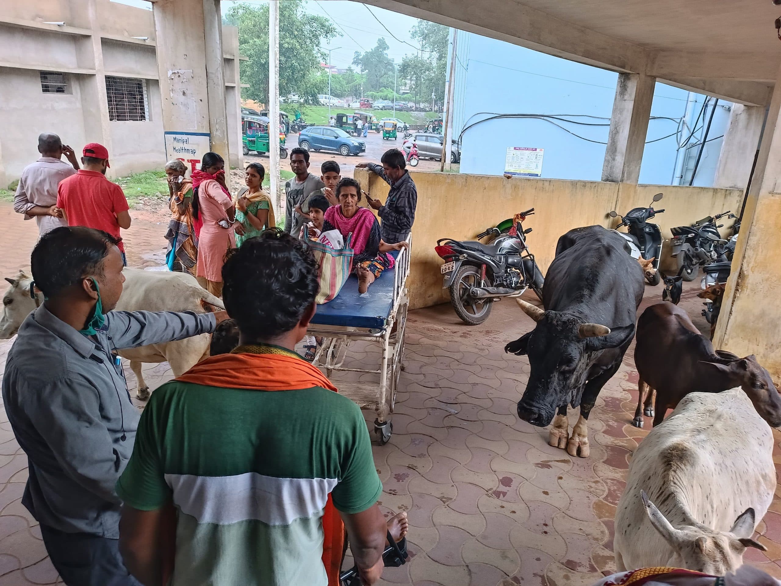 एसएनएमएमसीएच की इमरजेंसी में सांड ने कई मरीजों को किया चोटिल