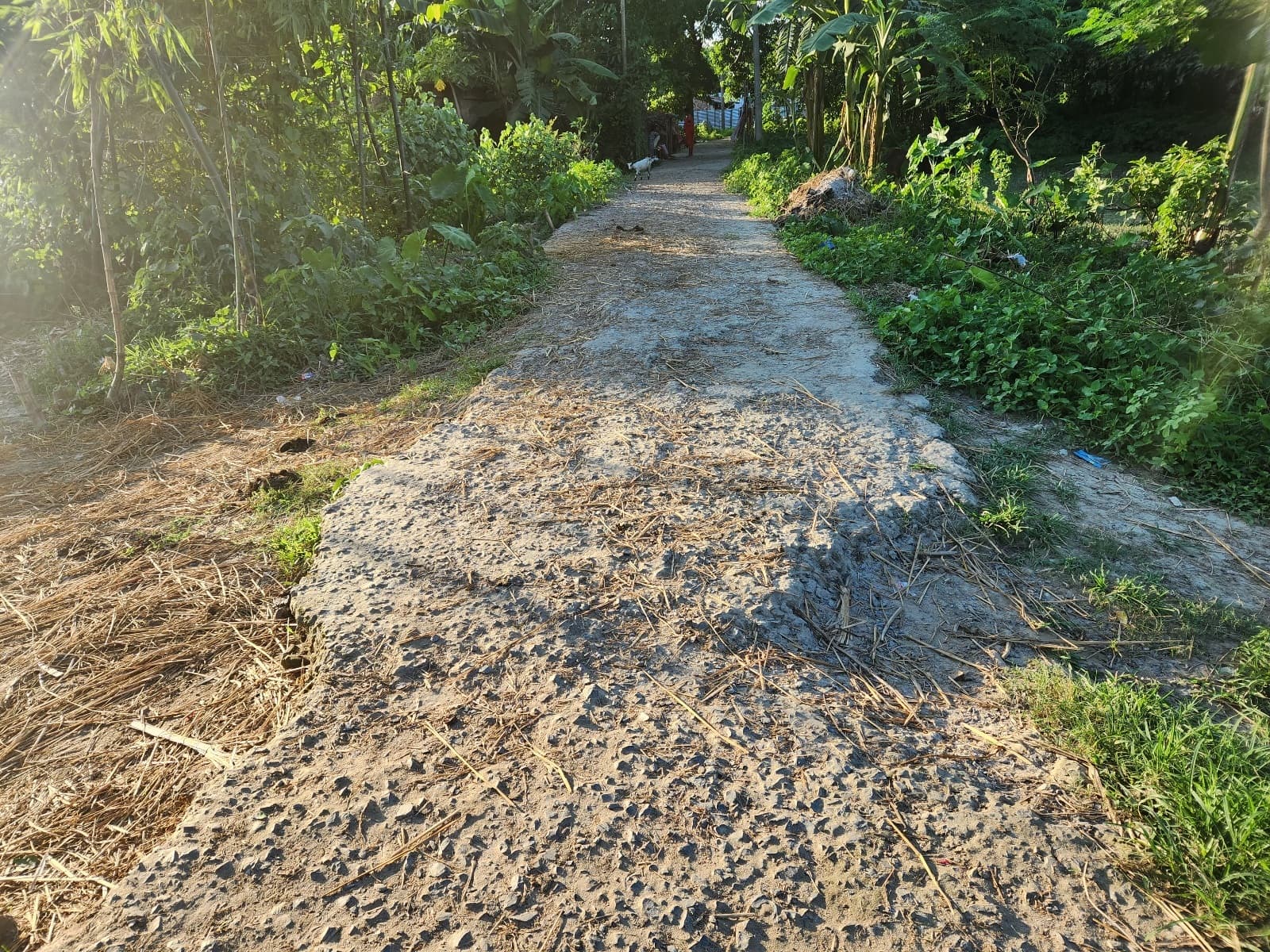 कद्दूभिट्ठा हाट पूरब टोला गांव की पीसीसी सड़क क्षतिग्रस्त, सुधि नहीं ले रहा कोई