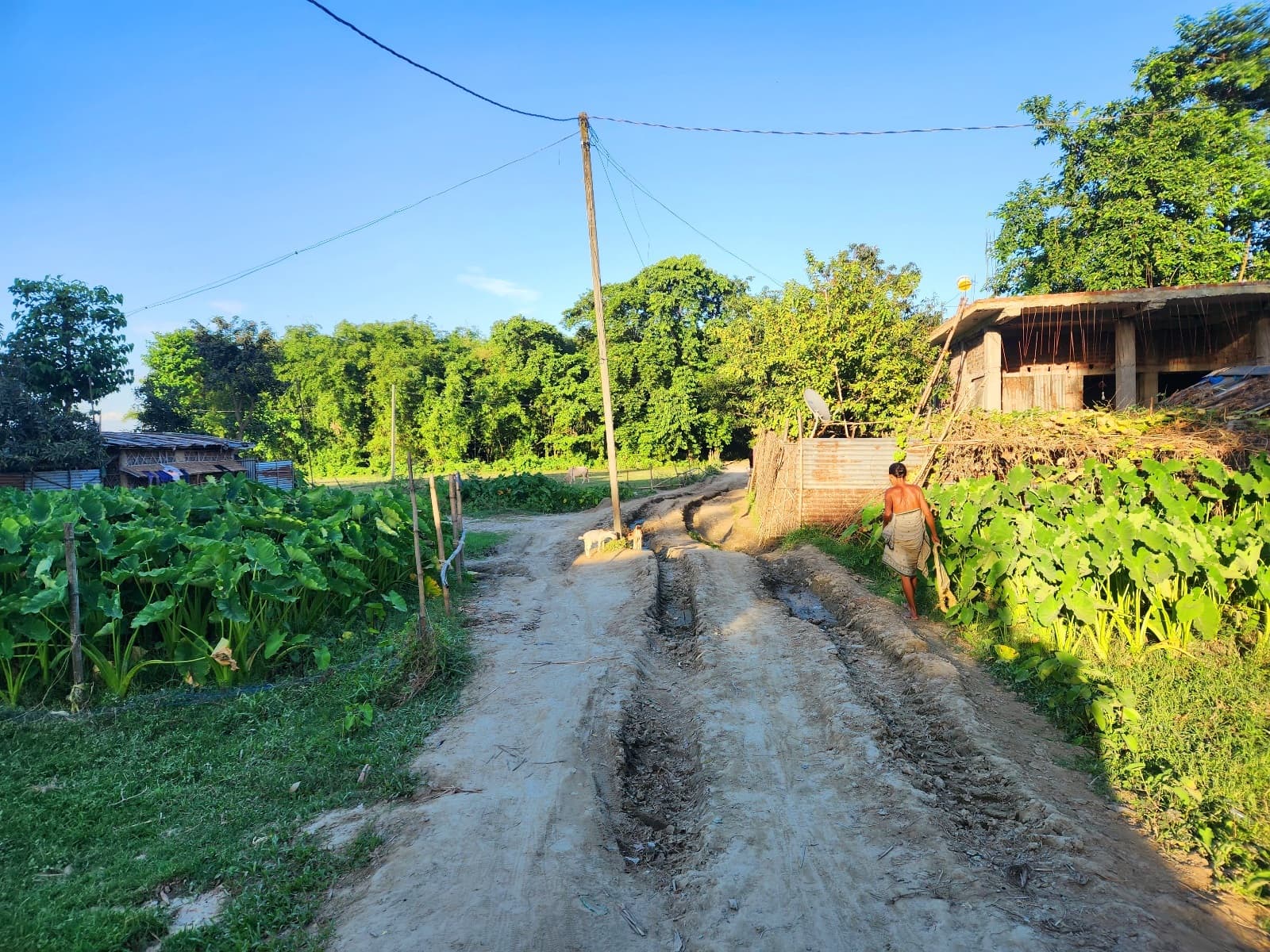 बंदरझूला पंचायत का सीमावर्ती इलाका आज भी विकास क रोशनी है दूर, जर्जर कच्ची सड़क से होकर गुजरने को मजबूर लोग