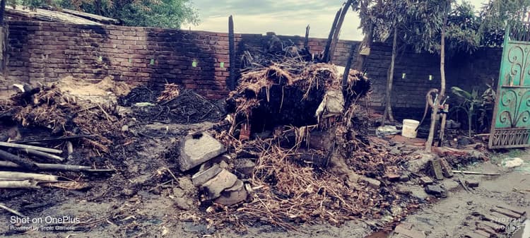 गारत बस्ती में लगी आग में चार मवेशी की मौत