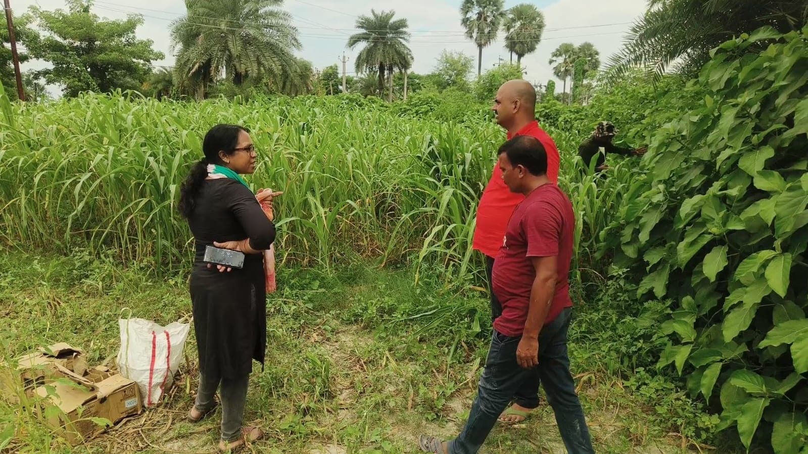 स्काॅर्पियो पर लदी भारी मात्रा में अंग्रेजी शराब बरामद, वाहन चालक व धंधेबाजों के खिलाफ प्राथमिकी दर्ज