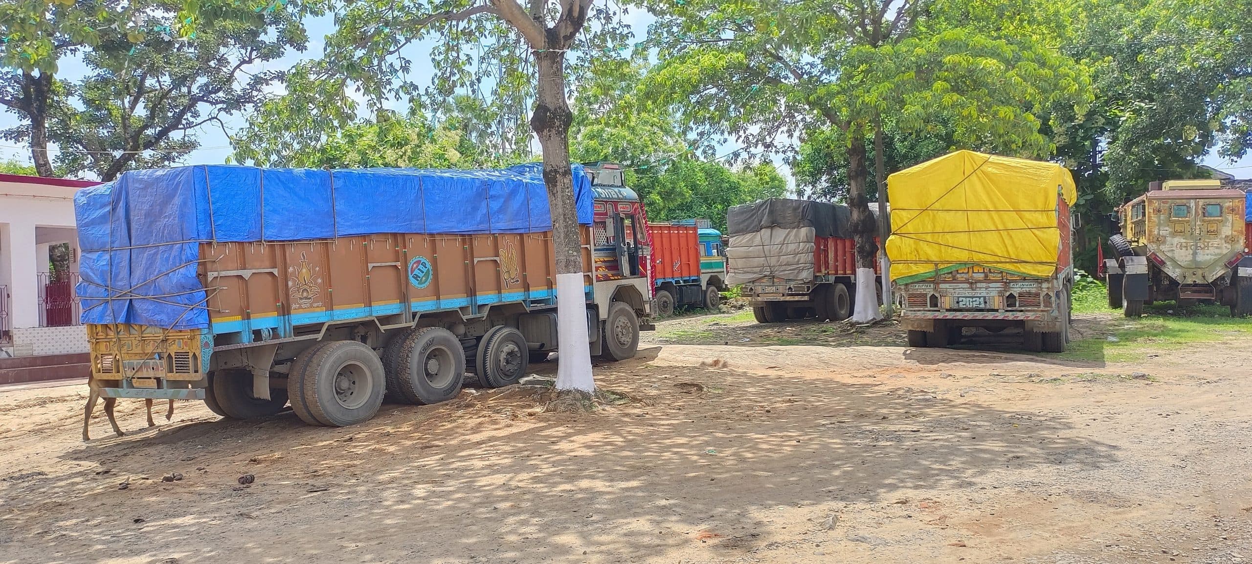 डीटीओ ने चलाया जांच अभियान, पांच ओवरलोड ट्रक पकड़े गये