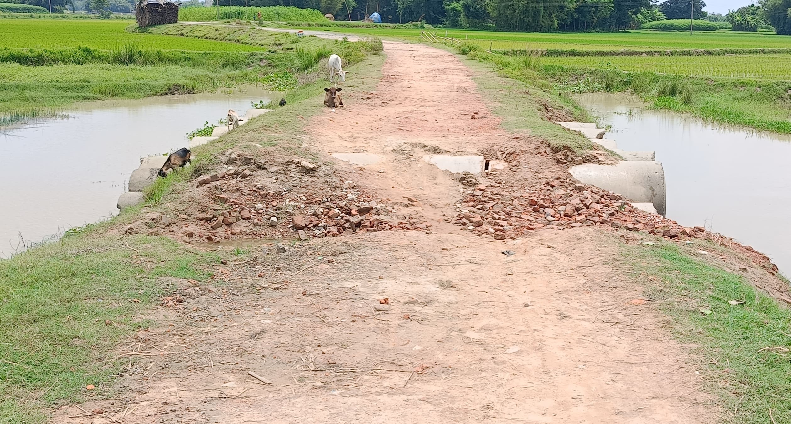 सड़क मरम्मत में देरी से आवागमन प्रभावित