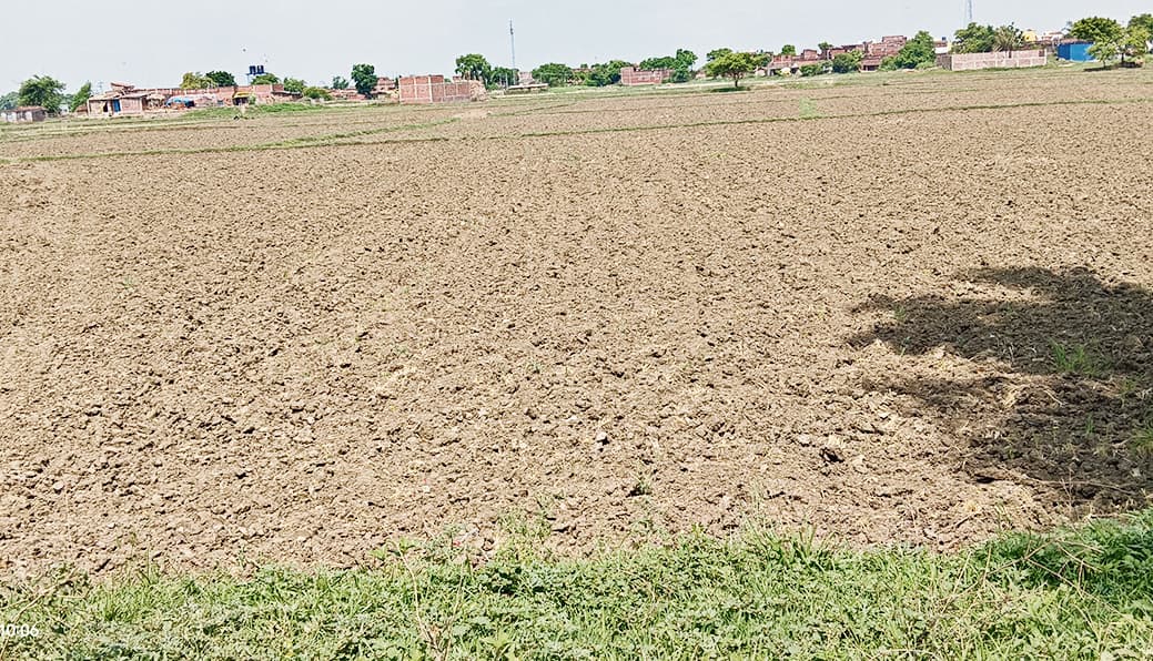 सूखे की आहट से सहमे किसान, खेतों में उड़ रही धूल