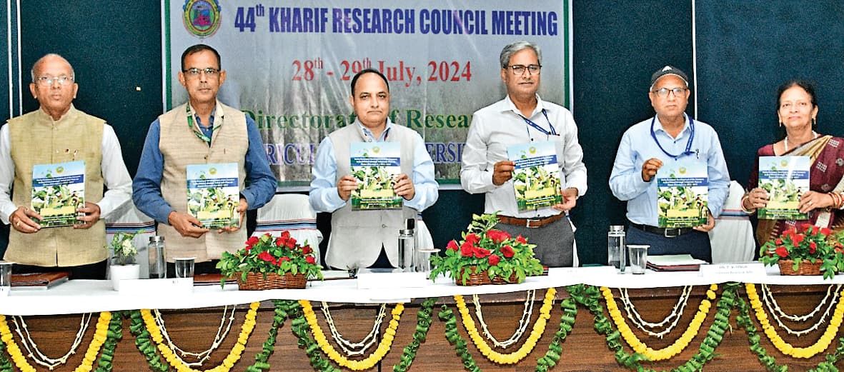 BAU RANCHI : फसलों की क्षमता बढ़ाने के लिए नयी तकनीक का इस्तेमाल जरूरी